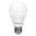 4W E27 LED Lampe, Globusform G55mm Warmweiss/Kaltweiss 3000K/6000K, 360LM Erstatz 30W